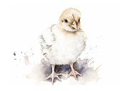 Cute baby chicken animal watercolor childrens print Digital Art by Good Focused