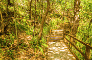 Cylinder Beach Boardwalk Photograph by Jorgo Photography Cylinder Beach Boardwalk Photograph by Jorgo Photography