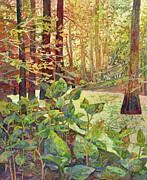 Cypress Swamp - Pickerelweed Painting by Hailey E Herrera Cypress Swamp - Pickerelweed Painting by Hailey E Herrera