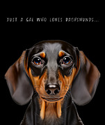 Dachshund Gal Digital Art by Mark Andrew Thomas