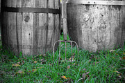 Farm Life Photograph by Dave Diegelman