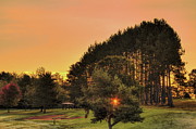 Dad's Sunburst Photograph by Dale Kauzlaric