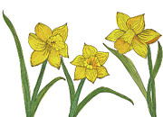 Daffodils Mixed Media by Lisa Neuman
