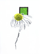 Daisy 230509 Drawing by Chris N Rohrbach