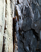 Dale Bard on Peregrine Pillar Sea of Dreams on El Capitan in Yosemite National Park Photograph by Dave Diegelman Dale Bard on Peregrine Pillar Sea of Dreams on El Capitan in Yosemite National Park Photograph by Dave Diegelman