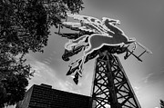 Dallas Pegasus In Front Of Omni Hotel - Black and White Photograph by Gregory Ballos Dallas Pegasus In Front Of Omni Hotel - Black and White Photograph by Gregory Ballos
