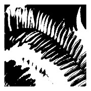 Dance 6 Digital Art by Fran Hogan Dance 6 Digital Art by Fran Hogan