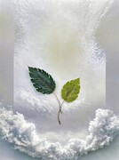 Dance of Dualities Digital Art by Samuel HUYNH