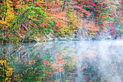 Morning Mist Photograph by Ed Newell