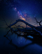 Dead in the Water Photograph by Aaron J Groen