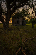 Dead Tree Hill Photograph by Aaron J Groen Dead Tree Hill Photograph by Aaron J Groen