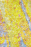 Deconstructed Banana Fun with Food Mixed Media by Bentley Davis Deconstructed Banana Fun with Food Mixed Media by Bentley Davis