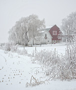 Decorated barns  on foggy morning with rime frost - Dane County Wisconsin Photograph by Peter Herman