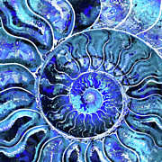 Deep Blue Nautilus Shell Art Painting by Sharon Cummings