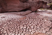 Deep Cracked Mud Photograph by Tom Daniel