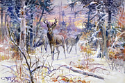 Deer in a Snowy Forest 1906 Painting by Charles Marion Russell