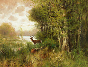 Deer in Forest Painting by John Fery