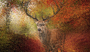 Deer in the autumn forest Painting by Alex Mir Deer in the autumn forest Painting by Alex Mir