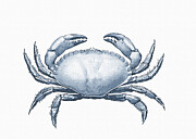 Delft Blue Crab Seafood Painting Painting by Shelli Fitzpatrick