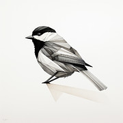 Depths of Gray - Songbirds Art Painting by Lourry Legarde Depths of Gray - Songbirds Art Painting by Lourry Legarde