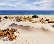 Desert by the Sea Photograph by Francesco Riccardo Iacomino
