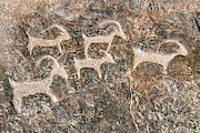 Desert Petroglyphs Photograph by Anthony Sacco