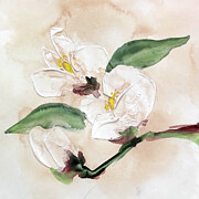 Dimensional Magnolia II Painting by Chris Paschke
