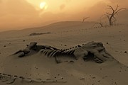 Dinosaur skeletons in the desert Drawing by Mark Garlick