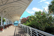 Discover Moody Gardens - Covered Walkway to Glass Pyramid Splendor Photograph by Brigitte Blanchette Thompson Discover Moody Gardens - Covered Walkway to Glass Pyramid Splendor Photograph by Brigitte Blanchette Thompson