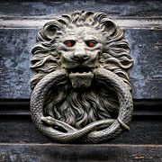 Disturbing Knocker Photograph by Monroe Payne