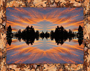 Divided Sky in a Ponderosa Pine Border Photograph by Ben Upham III Divided Sky in a Ponderosa Pine Border Photograph by Ben Upham III
