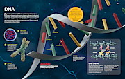 DNA Digital Art by Album