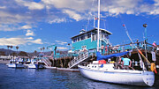 Docking at Catalina Digital Art by William Gunn Docking at Catalina Digital Art by William Gunn