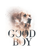 Dog Good Boy Digital Art by Matthias Hauser