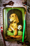 Doggy Tin Still Life Photograph by Garry Gay Doggy Tin Still Life Photograph by Garry Gay