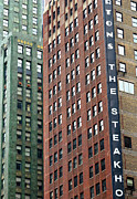 Domino Theory Photograph by Jon Exley