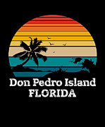 Don Pedro Island FLORIDA Drawing by Bruno