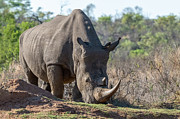 Don't come any closer Photograph by Robert Miller