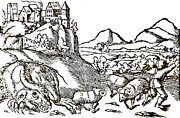 Dragon of Krakow, Drawing Photograph by Long Shot