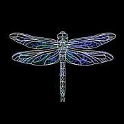Dragonfly. White, Green, Blue Drawing by Masha Batkova