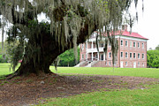 Drayton Hall Plantation Hall and Oak Tree Photograph by Bruce Gourley