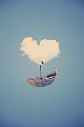 Dream Photograph by Adrian Limani