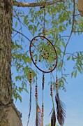 Dreamcatcher Photograph by Matthew Adelman