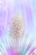Dreaming of Yucca Flowers Mixed Media by Elisabeth Lucas