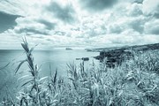 Dreamy Seaside Landscape in Azores Islands Photograph by Marco Sales Photography