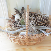 Driftwood And Pine Cone Bastet Photograph by Jo Ann Tomaselli