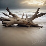 Driftwood Echoes Digital Art by David Miller Driftwood Echoes Digital Art by David Miller