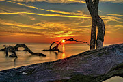 Driftwood Sunrise Photograph by DB Hayes