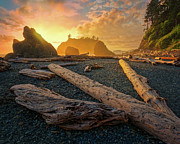 Driftwood Photograph by Thomas Hall
