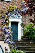 Dublin Door 88 Photograph by Jill Love